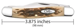 Case Amber Bone Peach Seed Jig (SS) Stockman Folder Knife #00128 -Knifes Series Shop CA00128 3