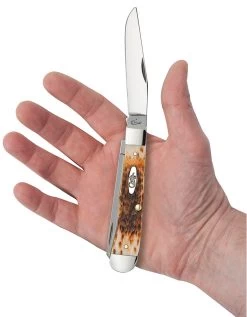 Case Amber Bone Peach Seed Jig (CS) Large Trapper Folder Knife #00163 -Knifes Series Shop CA00163 2