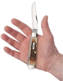 Case Amber Bone Peach Seed Jig (SS) Large Trapper Folder Knife #00164 -Knifes Series Shop CA00164 2