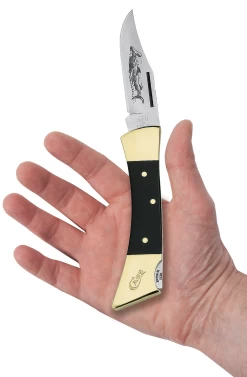 Case Jet-Black Synthetic (SS) Hammerhead Lockback Folder Knife #00177 -Knifes Series Shop CA00177 2