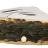 Case Amber Bone Peach Seed Jig (CS) Large Stockman Folder Knife #00204 -Knifes Series Shop CA00204