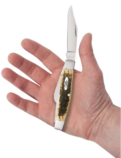 Case Amber Bone Peach Seed Jig (CS) Large Stockman Folder Knife #00204 -Knifes Series Shop CA00204 2