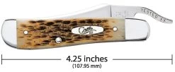 Case Amber Bone Peach Seed Jig (SS) Russlock Folder Knife #00260 10 Case Amber Bone Peach Seed Jig (SS) Russlock Folder Knife #00260 -Knifes Series Shop CA00260 3