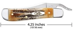 Case 6.5 BoneStag® RussLock® (SS) Folder Knife #65303 -Knifes Series Shop CA65303 4