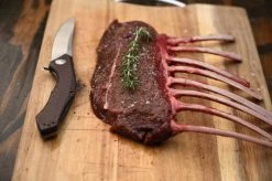 Zero Tolerance Large Sinkevich KVT Red Carbon Fibre CPM20CV Folder Knife 0462 -Knifes Series Shop ZT0462 3